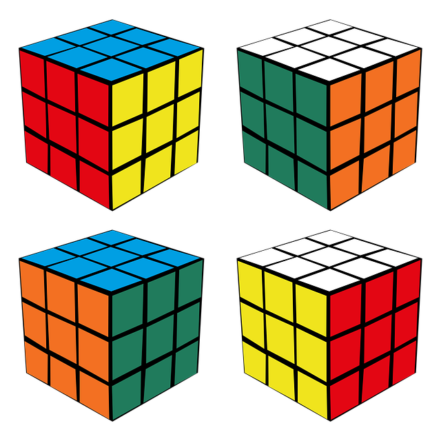 Ribik's Cube